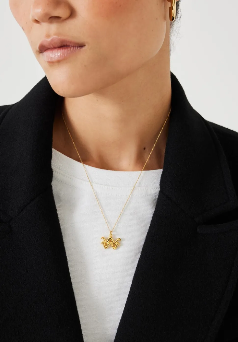 Bonvo Aquarius Zodiac Necklace