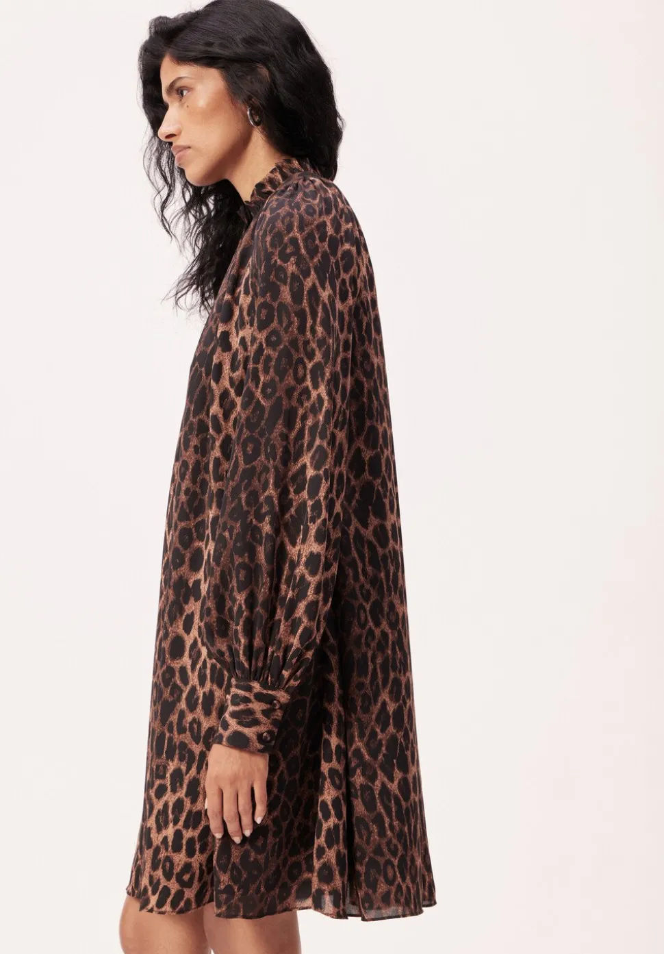 Printed Chiffon Mini Dress